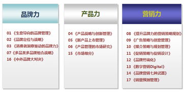 品牌管理的核心與實(shí)踐 賦能企業(yè)市場部的內(nèi)訓(xùn)指南